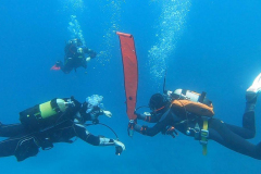 TL Prüfung 2023 auf Fuerteventura