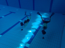 Tauchprojekt des TC Flotte Flosse mit dem SMG Ingelheim 2023