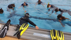 LVST-Trainer C-Ausbildung 2023