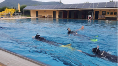 LVST-Trainer C-Ausbildung 2023