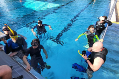  LVST-Trainer C-Ausbildung 2023