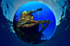  Vize-Weltmeister-Titel in der Unterwasser-Fotografie 2023