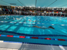 Bereitstellung  Wettkampfmonoflossen