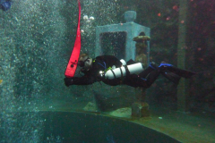 Sidemount-Workshop Dive4Life