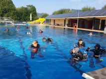 Trainer C-Ausbildung 2024