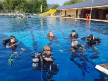 Trainer C-Ausbildung 2024