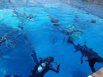 Trainer C-Ausbildung 2024