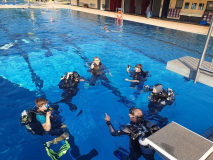 Trainer C-Ausbildung 2024