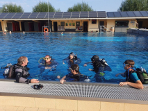 Trainer C-Ausbildung 2024