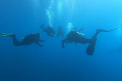 Tag 4