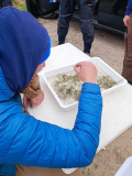 Taucheinsatz im Begütenweiher