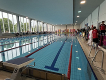 65. Offene Deutsche Meisterschaften im Finswimming 2025