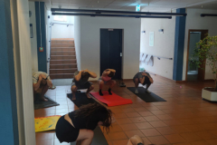 Apnoe-Seminar 28.29.06.2025