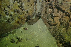 P8311375