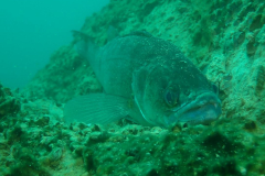 P8311404