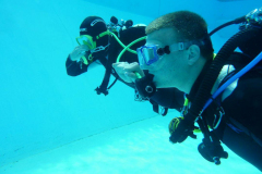 Trainer C Praxis 2025