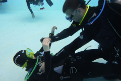 Trainer C Praxis 2025