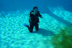 Trainer C Praxis 2025