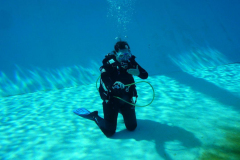 Trainer C Praxis 2025