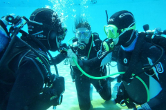 Trainer C Praxis 2025