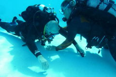 Trainer C Praxis 2025