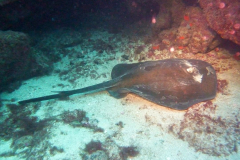 Blog TL1 Prüfung Fuerteventura 2025 Tag 4