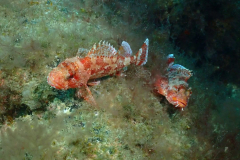 Blog TL1 Prüfung Fuerteventura 2025 Tag 4