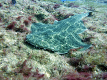 Blog TL1 Prüfung Fuerteventura 2025 Tag 6