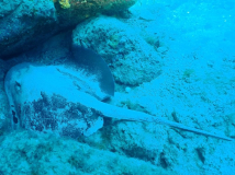 Blog TL1 Prüfung Fuerteventura 2025 Tag 6