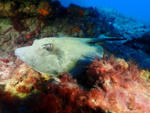 Blog TL1 Prüfung Fuerteventura 2025 Tag 6