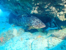 Blog TL1 Prüfung Fuerteventura 2025 Tag 6