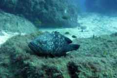 Blog TL1 Prüfung Fuerteventura 2025 Tag 7