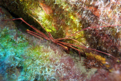 Blog TL1 Prüfung Fuerteventura 2025 Tag 7