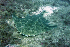 Blog TL1 Prüfung Fuerteventura 2025 Tag 7