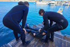 Blog TL1 Prüfung Fuerteventura 2025 Tag 7