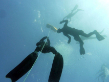 Blog TL1 Prüfung Fuerteventura 2025 Tag 2