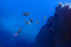 Blog TL1 Prüfung Fuerteventura 2025 Tag 3