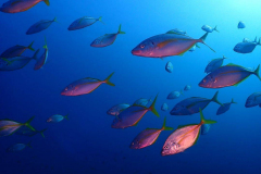 Blog TL1 Prüfung Fuerteventura 2025 Tag 3