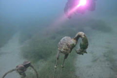 Sidemount Plittersdorf